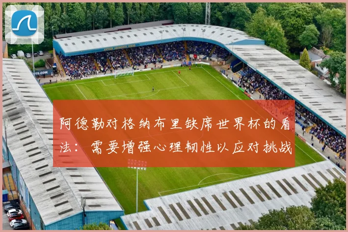 阿德勒对格纳布里缺席世界杯的看法：需要增强心理韧性以应对挑战