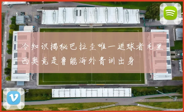 冷知识揭秘巴拉圭唯一进球者毛里西奥竟是鲁能海外青训出身